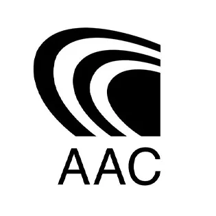codec AAC