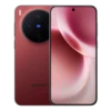 Vivo X300