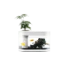 Xiaomi Geometry fish tank transparent aquarium